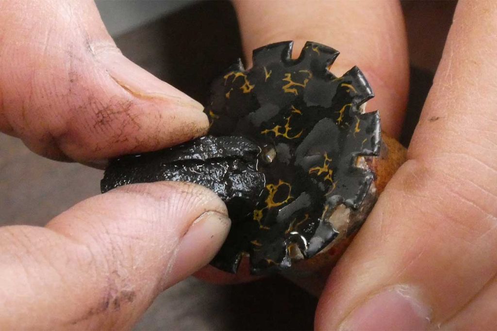 JAPAN ART COLLECTION SHIBO-URUSHI