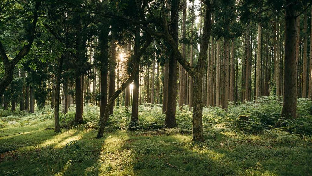 Watches that the Swiss are talking about